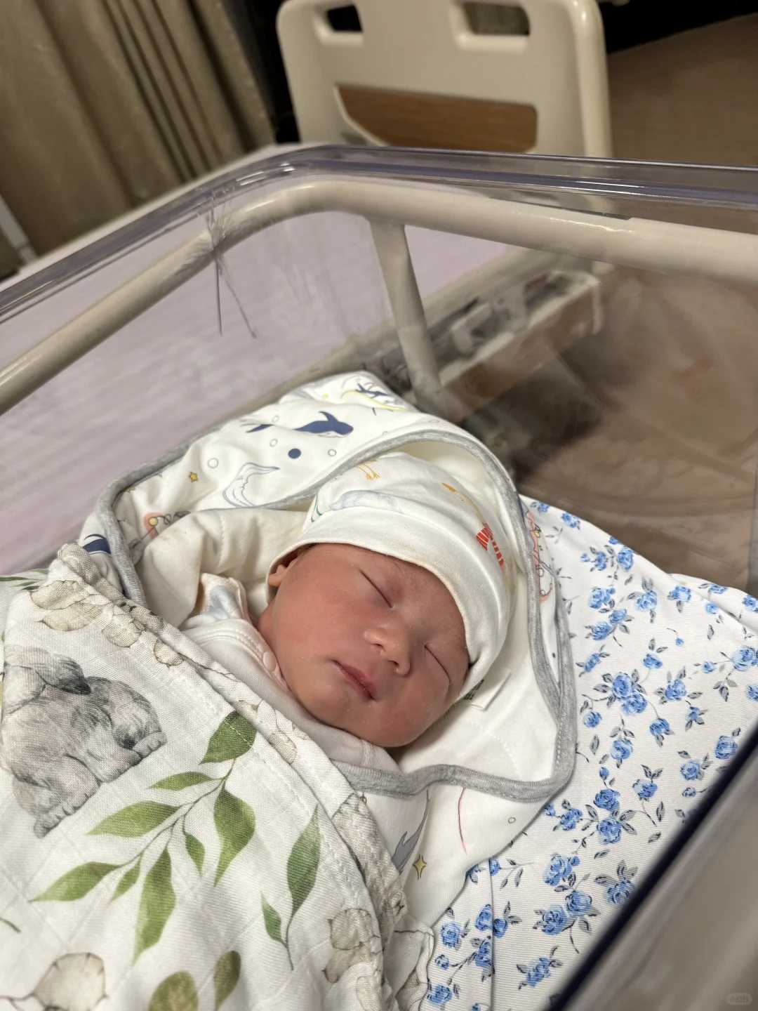 冷冻母乳分层现象正常吗？科学原理解析